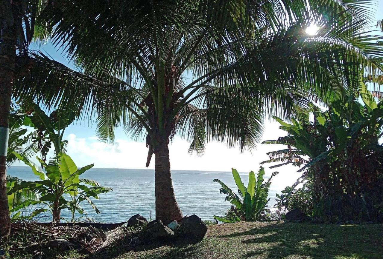 L'Auberge De Jeunesse Tahiti Iti - Beach Hostel Afaahiti Extérieur photo