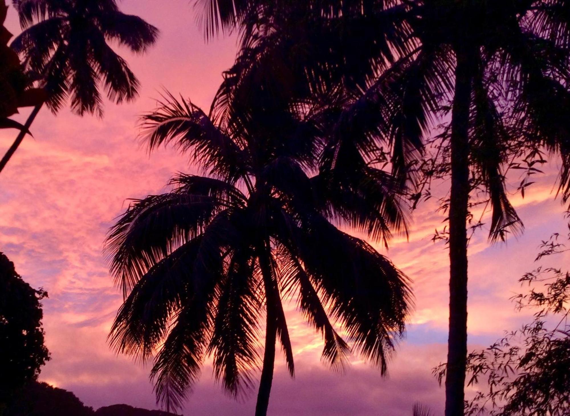 L'Auberge De Jeunesse Tahiti Iti - Beach Hostel Afaahiti Extérieur photo