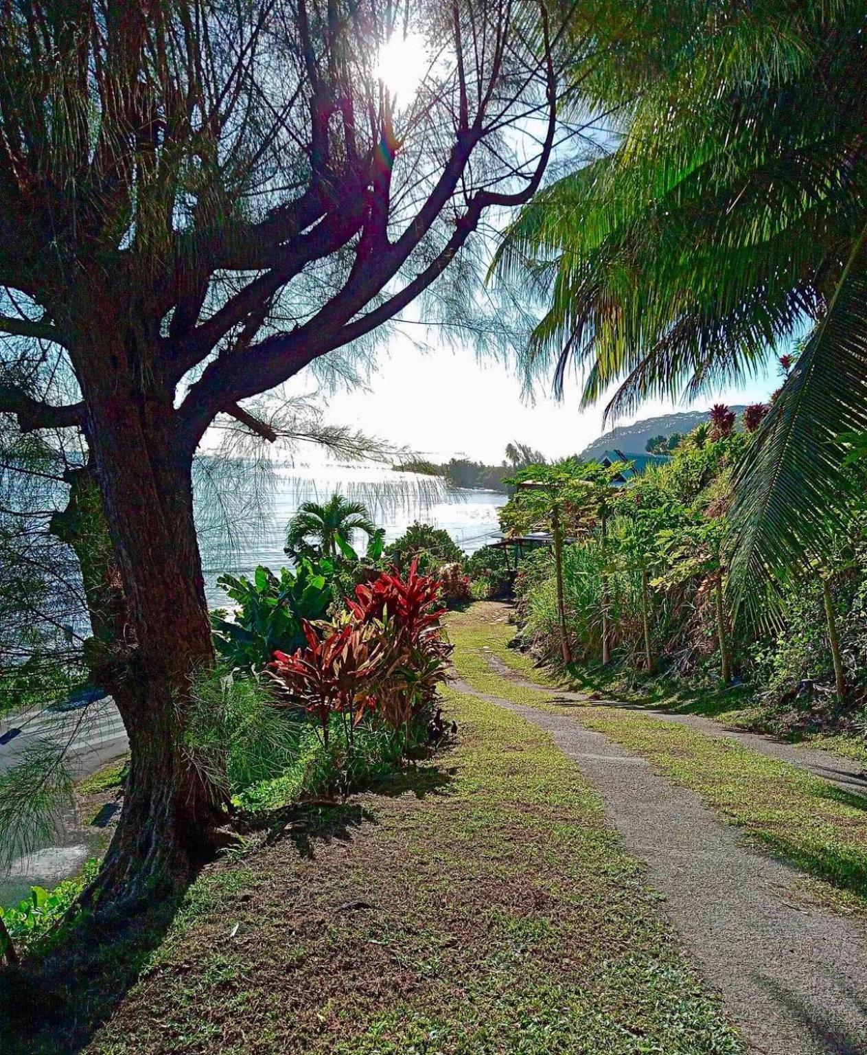 L'Auberge De Jeunesse Tahiti Iti - Beach Hostel Afaahiti Extérieur photo