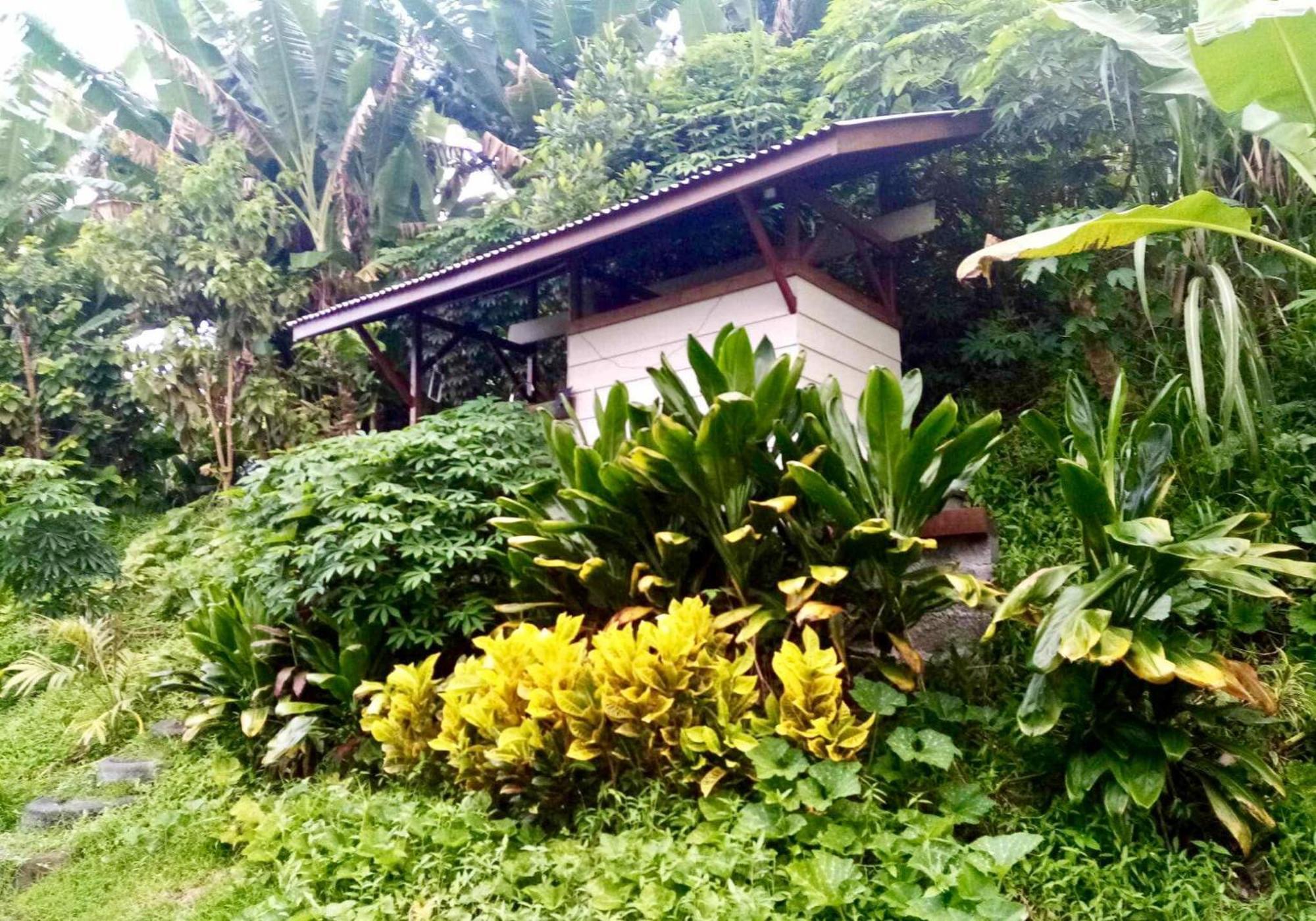 L'Auberge De Jeunesse Tahiti Iti - Beach Hostel Afaahiti Extérieur photo